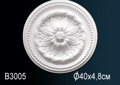    Perfect B3005