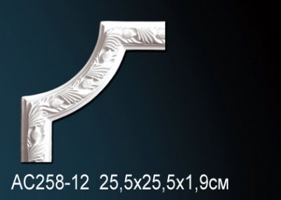       Perfect AC258-12