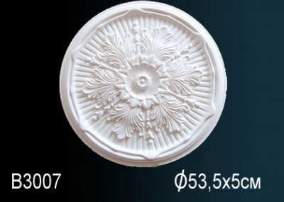    Perfect B3007