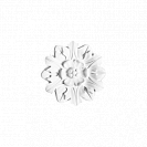    R12